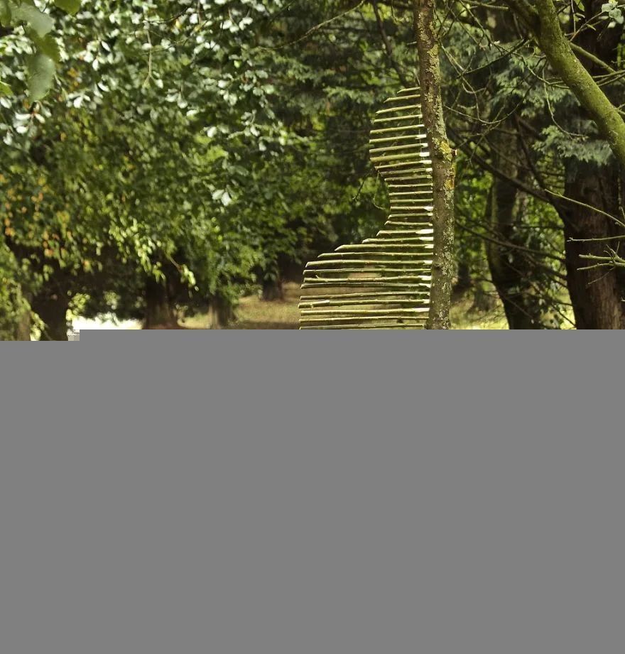 詹姆斯|艺术家用石头和树叶“作画”,网友直呼:太解压,治愈强迫症