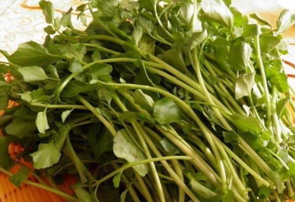 异硫氰酸盐|此菜是“妇女之友”，常吃清肺润肺、排肺毒，预防乳腺癌和痛经