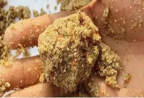 钓鱼打窝几个细节不可不注意些，新手总空竿，其实问题在这里