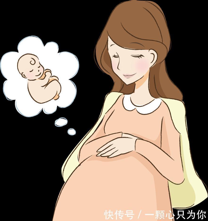 老少皆宜|孕妇也能吃的3款零食,解馋美味营养高,大雪过后吃,老少皆宜