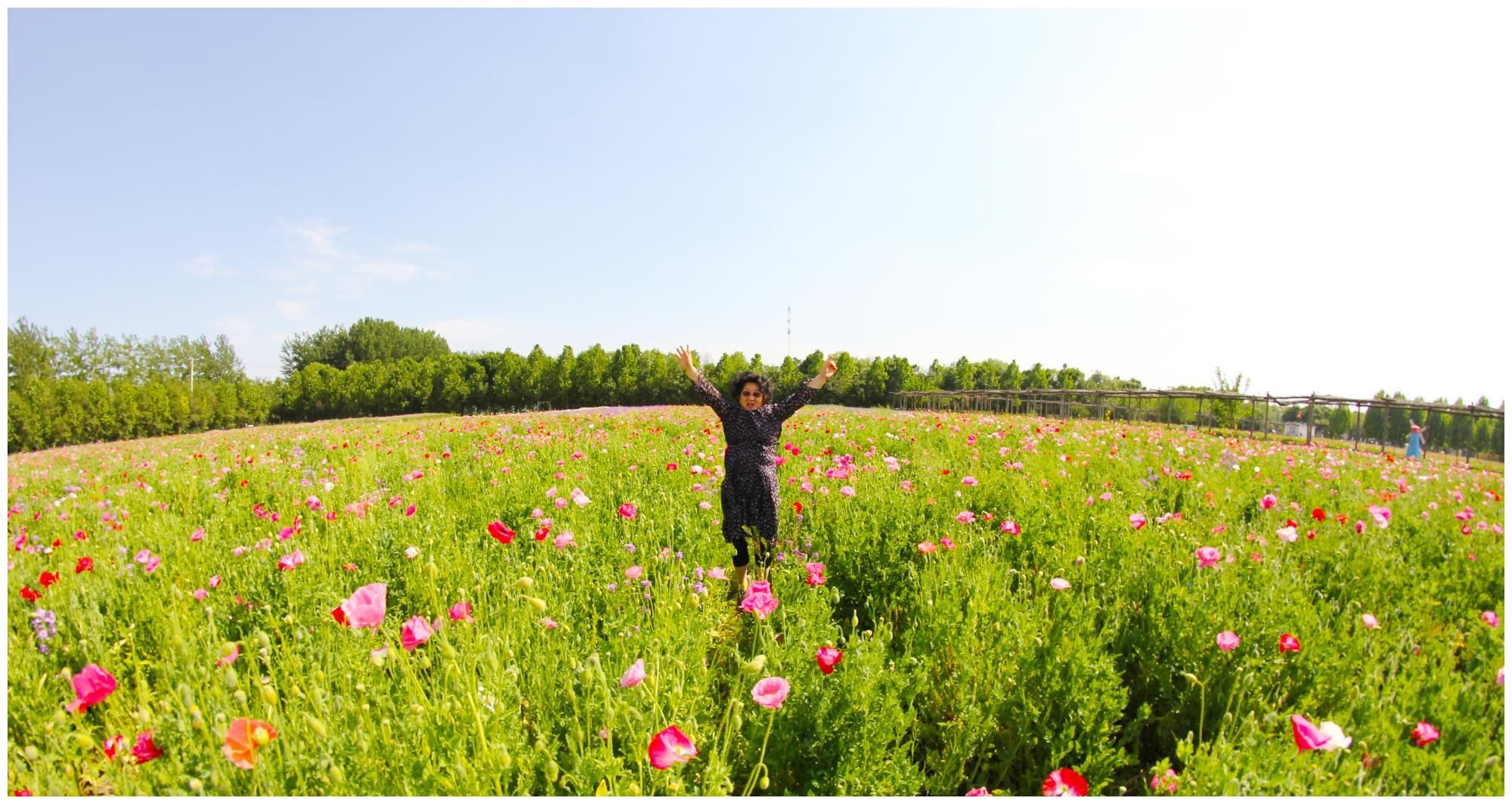 赏花|北京包场赏花秘境，景色堪比普罗旺斯，美得让人窒息