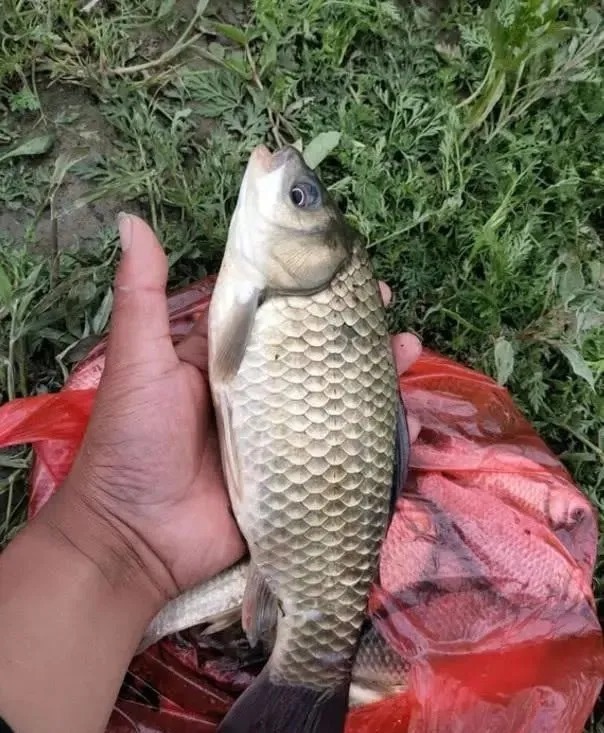 都说冬天要钓深水,为啥你钓深水却经常空军?问题就出在这4点上!