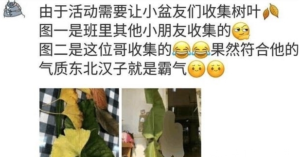 东北|奇葩家庭作业，幼儿园让孩子带树叶，东北小孩带的树叶果然很东北