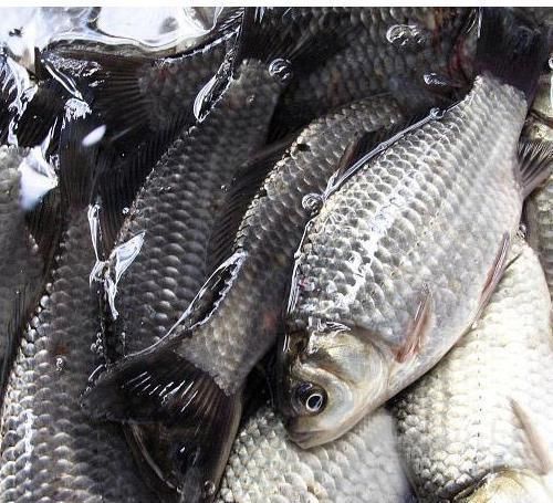 增生|前列腺增生要管好嘴,5种容易加重增生的食物,宁愿挨饿也别碰