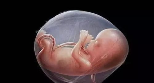 试管婴儿|正常的婴儿和试管婴儿会有什么不同呢?了解一下就清楚了