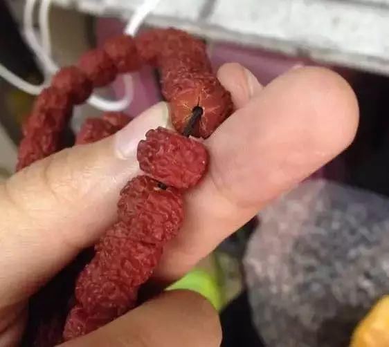  手串|给跪了！收藏多年的高价沉香老珠竟然是“高仿货”！？