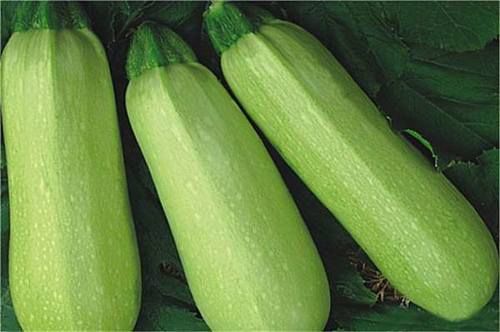 春天適合養(yǎng)生，女性吃以下食物，促進(jìn)消化，美容嫩膚，告別便秘