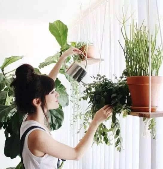 空中|房子小,咋养花?那就造一个空中花园