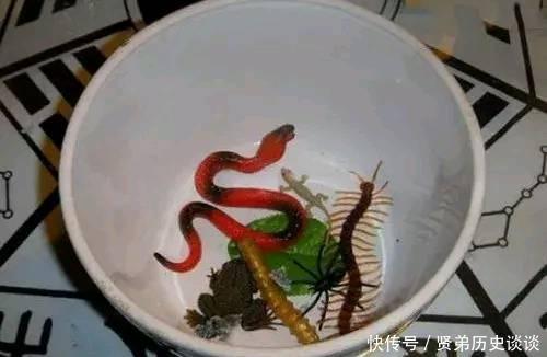 苗疆蛊虫有多吓人 揭秘真实的养蛊人与下蛊方法 快资讯