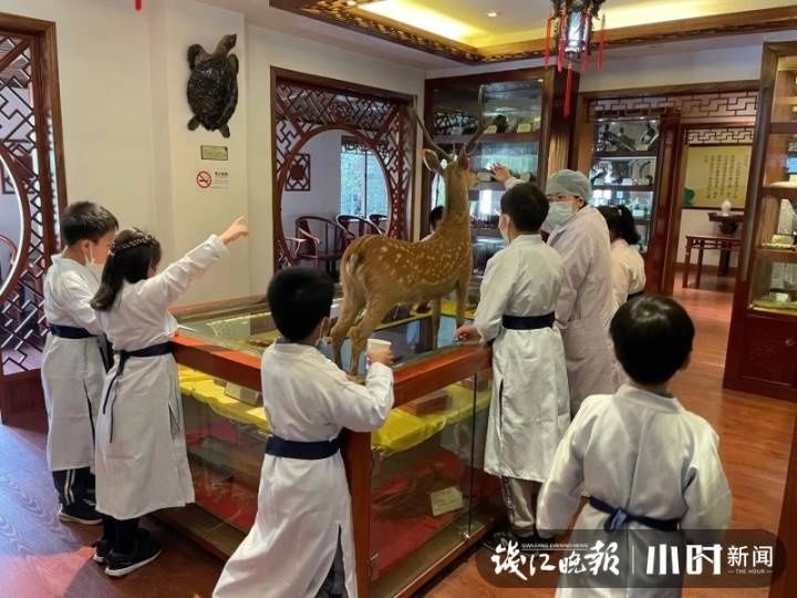 中医药文化|小小药童，领略中医药文化