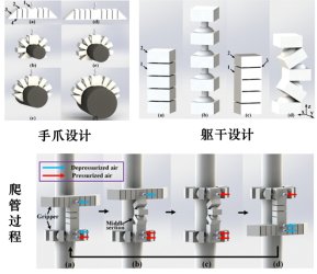 天津大学最新研发：3D打印软性机器人