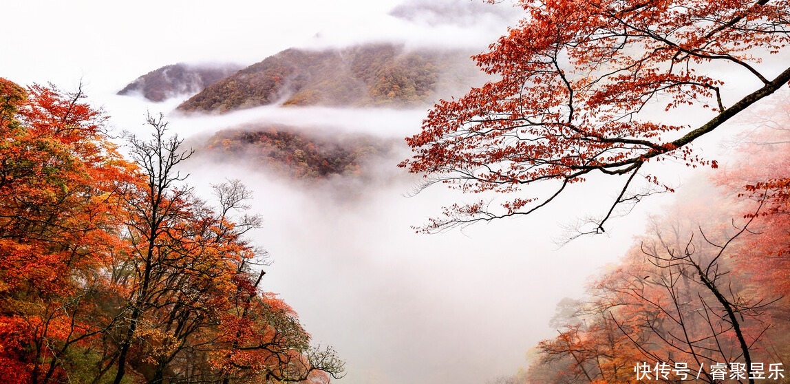 美丽|秋光乍泄 美景成诗 秋日的神农架 一定会惊艳到你