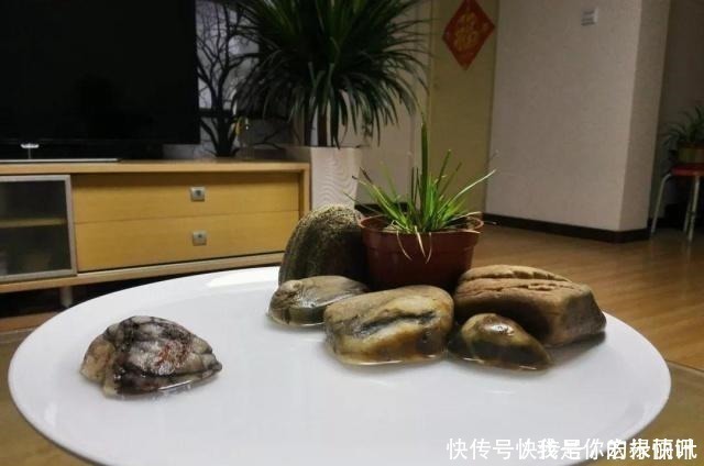 植株|大爷用石头、盘子来养花,布局造景,这就是山水盆景的魅力!