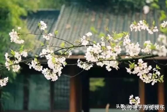 拂逆境,从容心,一种难得的境界