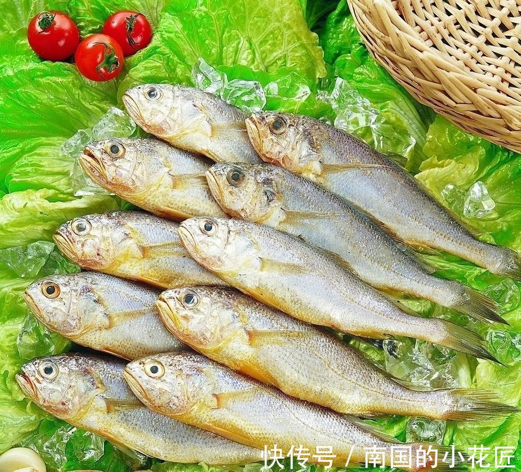 脂肪含量|三伏天，再节约也要多吃这“伏天5鲜”，应季而食，全家顺利过伏