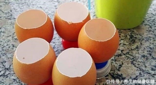 多肉花盆年年买不如换成这种，省钱又实用！多肉花盆年年买不如换成这种，省钱又实用！