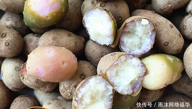 山药棍|山药豆和山药到底是啥关系?哪个营养好