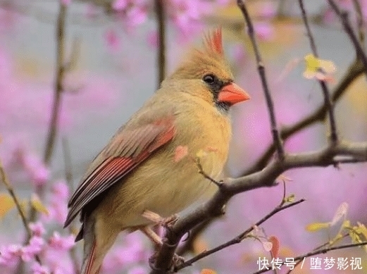 高考填志愿，要记住这5大原则