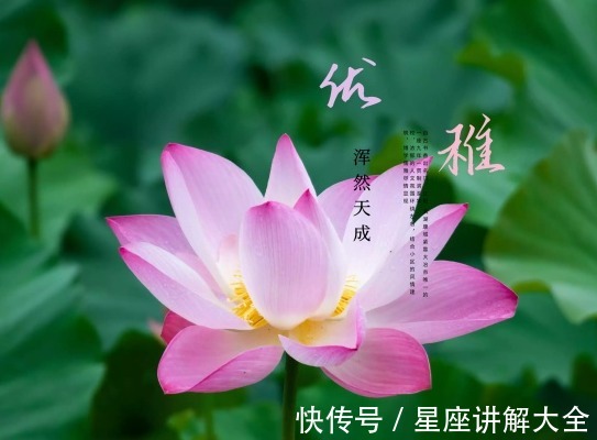 属相|12月上旬开始，4属相时来运转，接财接福接桃花，生活顺心如意