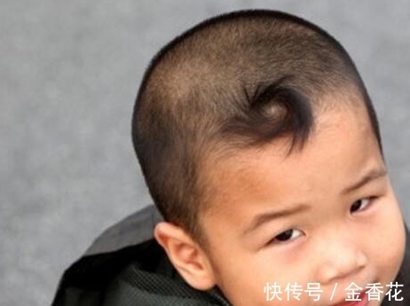 波壳君|孩子头上“发旋”越多,智商就越高吗?专家研究后大开眼界!