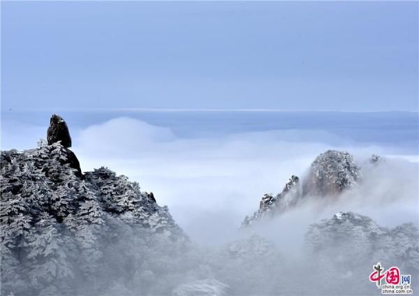 冰雪|大雪过后的黄山，是一个被冰雪包裹的艺术品