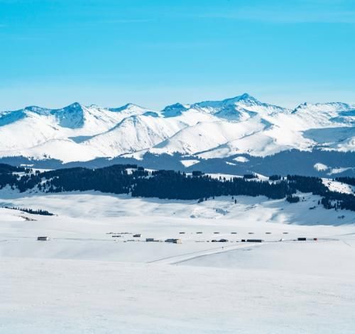 【图说新疆】新疆喀拉峻：茫茫林海雪原 木屋毡房点点