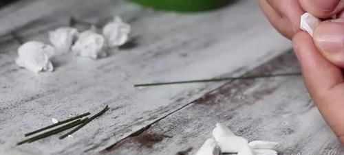 想到|谁能想到这么浪漫的满天星,竟是卫生纸揉的假花,附教程