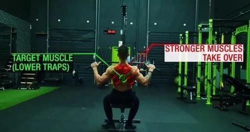 腘绳肌|几块“易被忽视训练”的重要肌肉,可能影响你的训练质量!