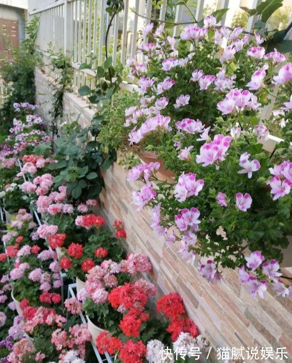 这9种花园,随便1个都美上天了,有一种这辈子就满足了!