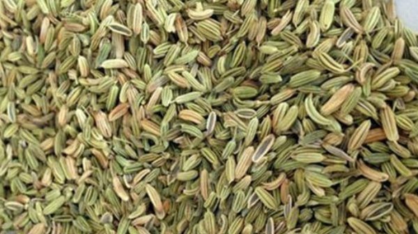茴香|這味藥,只要放在枕頭邊聞一聞,秒治失眠、頸椎病