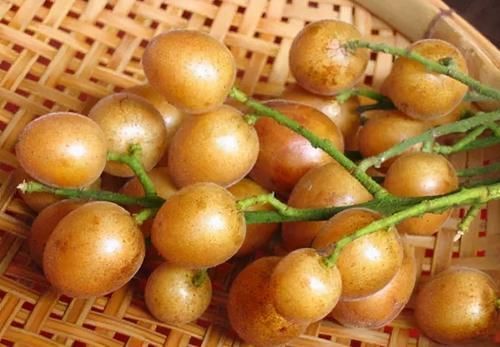 保健菜|每天晚上坚持吃三种食物,营养丰富,延缓衰老,好吃又不贵