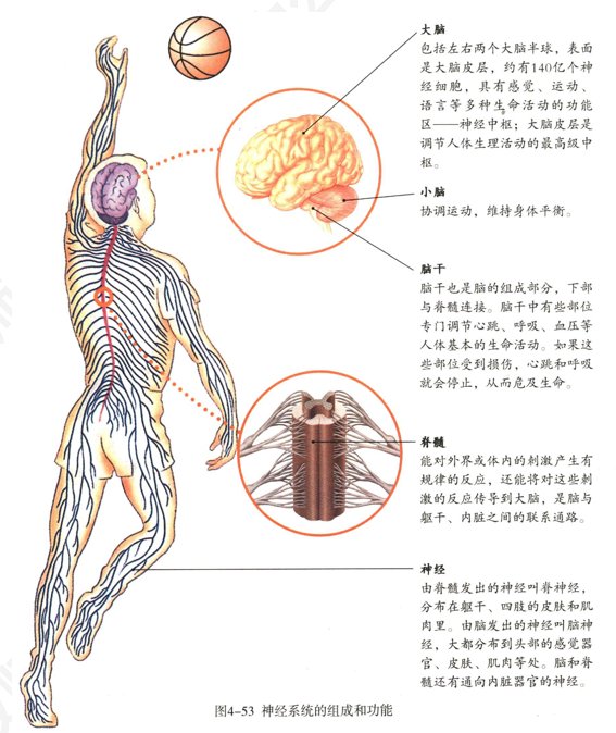 2019初中生物教师资格证面试试题第四批 快资讯