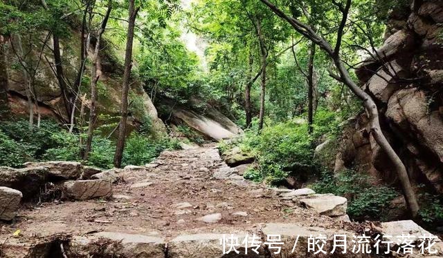 鸽子洞|北京大岭沟猕猴桃谷风景区，幽静空谷听鸟鸣，到山顶看草木葱茏！