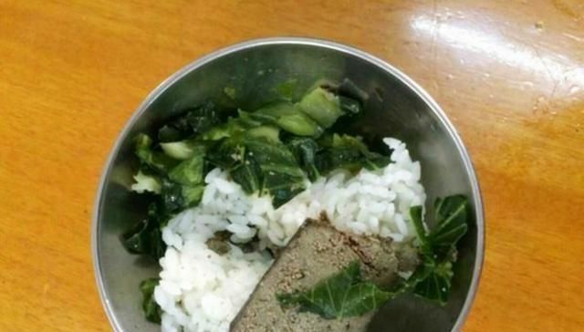 孩子们|孩子挑食，去幼儿园后抢着吃，幼儿园做饭阿姨的消息让家长们怒了