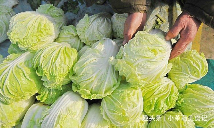 买白菜，“松散的”和“紧实的”差别大，记住3点挑出好吃的白菜