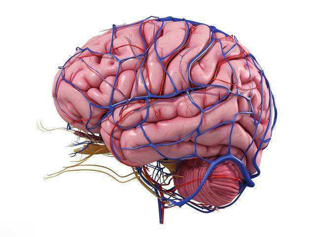 大脑|脑供血不足头昏、头晕每天2个动作,头不晕,大脑更灵活