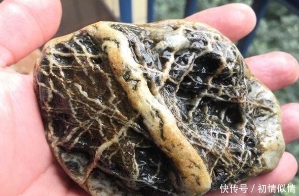 丢掉|小伙野外捡到一块石头,村民说不干净要丢掉,鉴定后结果喜人