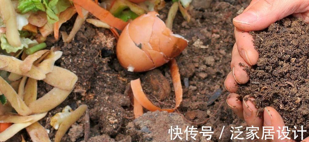 叶子|香蕉皮,天然钾肥,用对方法养花,有营养、能驱虫、清洁叶子