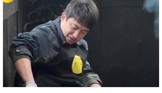 现实|杨紫一人录三期，11个小艺人录一期，《向往》揭露红与不红的现实