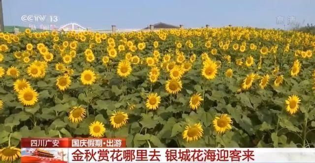 客流|五湖四海迎客来 国庆节多个景区迎来客流高峰