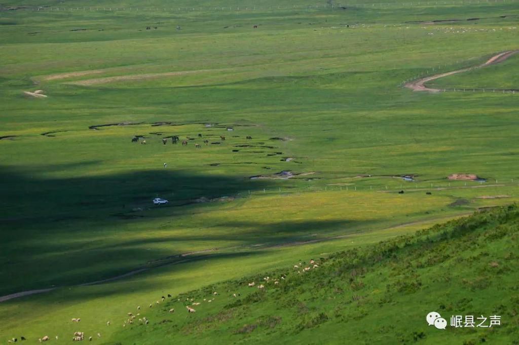 岷县的春夏秋冬，看不够！