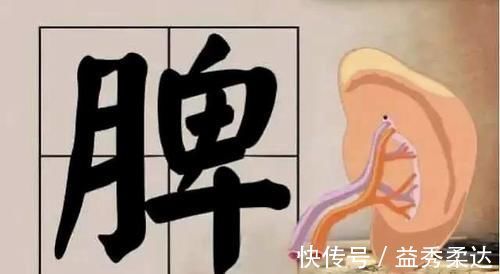 阳虚|脾虚不能随便补，对症健脾效果好！脾怕的5件事，大家别再做了