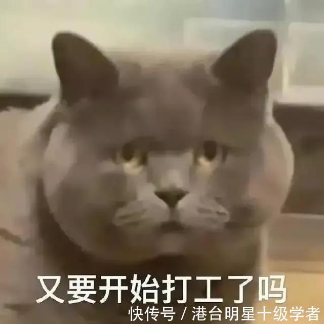 |搞笑笑话锦集附表情包