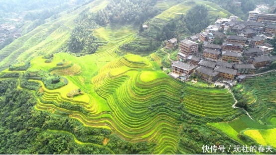 金桔逸游:2020-2021这一年,我们对旅游的热情,还在继续!