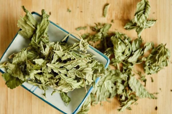 洗头时,为啥指甲里总有“白泥”,还有臭味?或是“一虫”捣的鬼