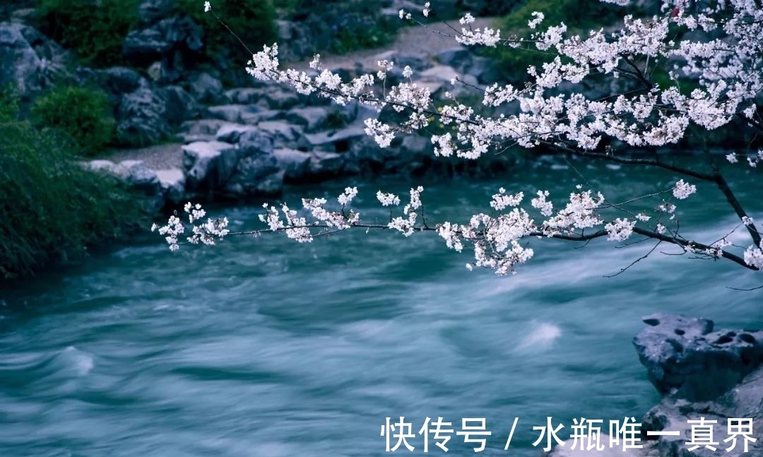 南宋|陆游彻夜未眠，挥毫写下一首七言律诗，没想到其中一句成千古名句