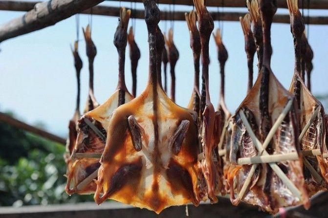  场面|阳江的“名场面”来了！