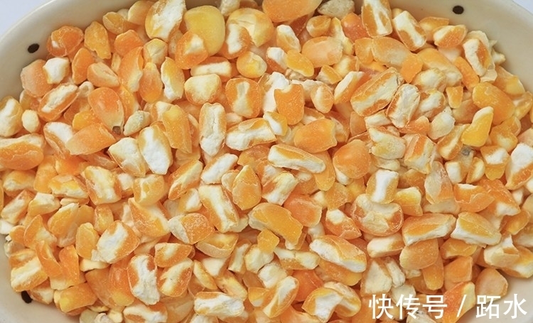 秘制红糖蒸玉米鱼饵配方分享 饵料入水后鲤鱼狂咬