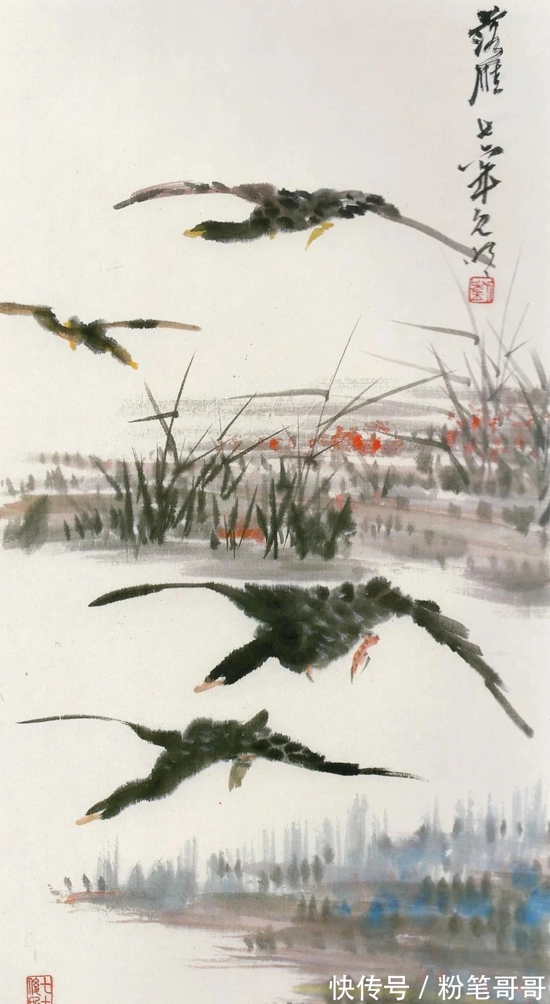 花鸟画@近现代四川水平最高的花鸟画家之一|刘既明画芦雁