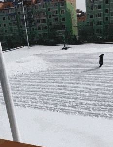 |搞笑GIF:挖掘技术相当强悍,竟然挖出了意外惊喜